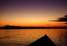 Colombian Amazon