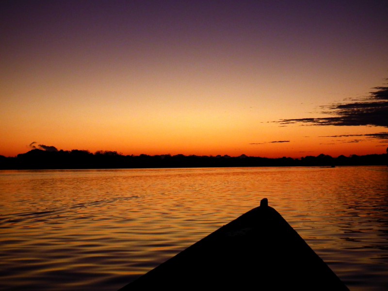 Colombian Amazon