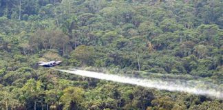 Coca spraying in Colombia