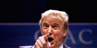 Donald Trump Mexico
