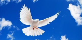 Colombian Peace Process