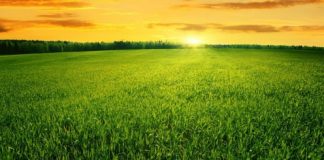 Agribusiness Colombia