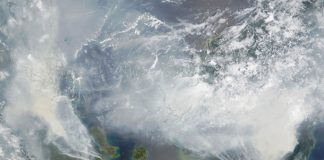 Indonesian forest fires