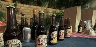 Ragnarök beer Bogotá