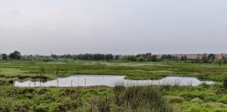 Bogotá humedales, Van der Hammen reserve Bogotá