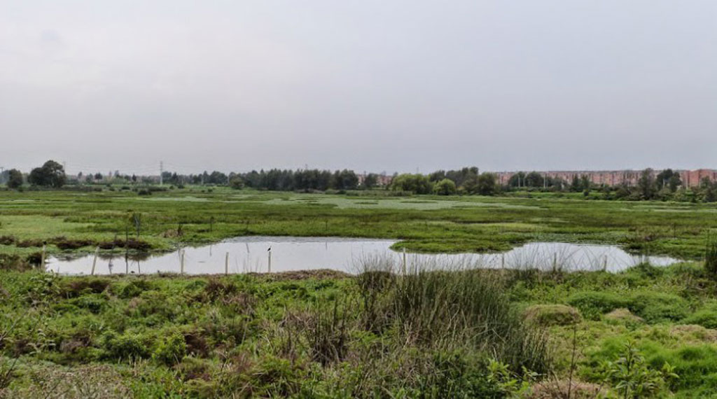 Bogotá humedales, Van der Hammen reserve Bogotá