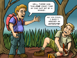 writing anecdotes