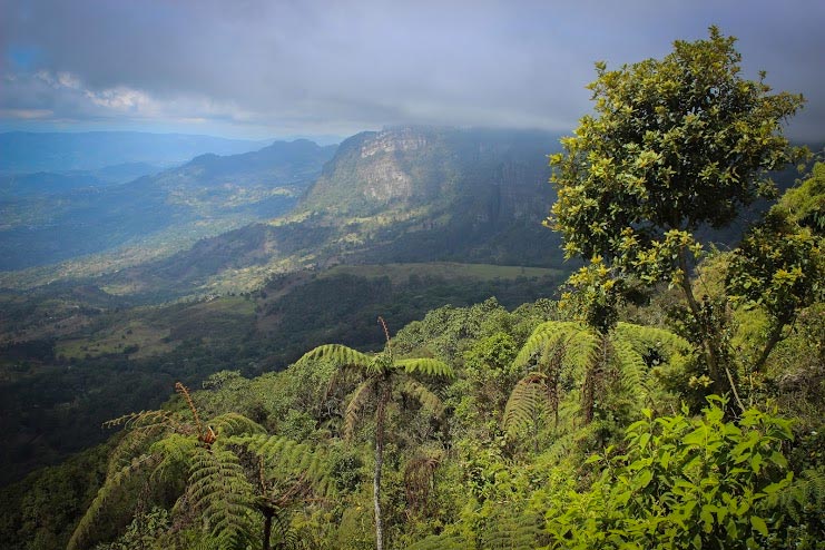 Chicaque National Park