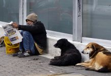 Homeless Bogotá, Bronx Bogotá