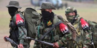 ELN Colombia, Peace