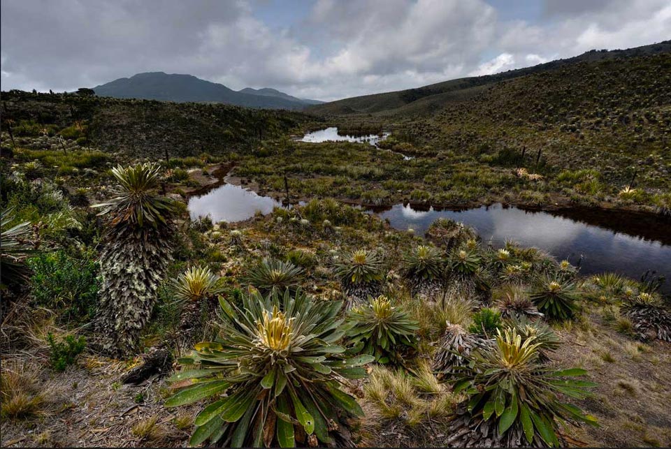 Eco Oro Colombia