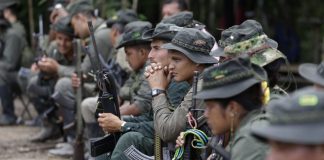 Colombian conflict, FARC soldiers, reintegration,