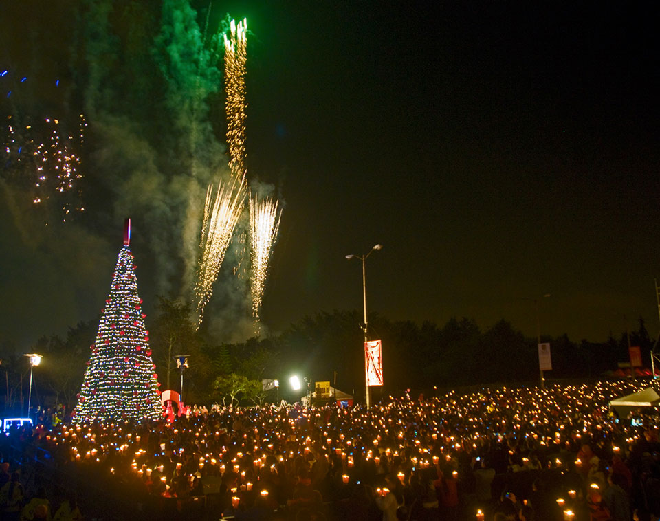 Noche de Velitas, Bogotá Christmas