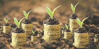 green economy