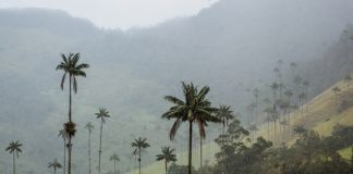 Salento Colombia
