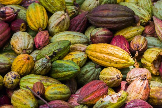 Colombia cacao, Colombia coca