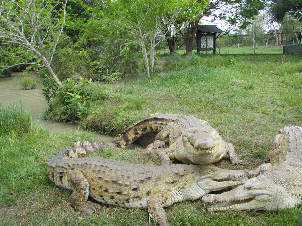 Casanare Colombia