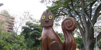 Cali Colombia, El Gato del Río