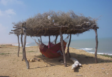 Human Rights Watch draws attention to hunger crisis in Wayuu community