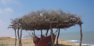 Human Rights Watch draws attention to hunger crisis in Wayuu community