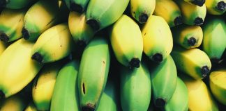 Australian scientists have squashed the threat of banana extinction in Colombia