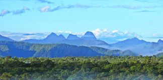 Altaquer