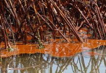 oil spill Santander