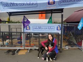 Pet adoption