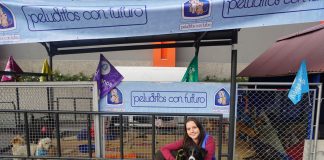 Pet adoption