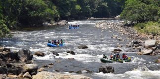 Fragile X, FARC rafters