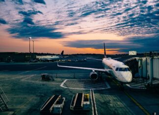 Ashim d'Silva on unsplash Viva plane grounded