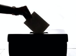 Vote image by Element 5 Digital on Unsplash.
