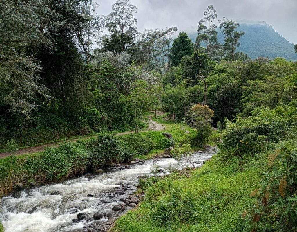 A river flowing under a high mountain in Cauca, Colombia in 2026